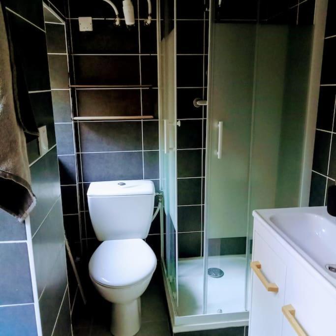 Le Cosy Chaleureux Appartement 圣艾蒂安 外观 照片